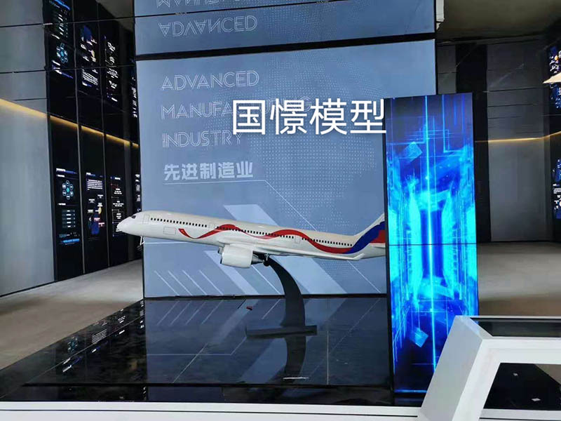 成安县飞机模型