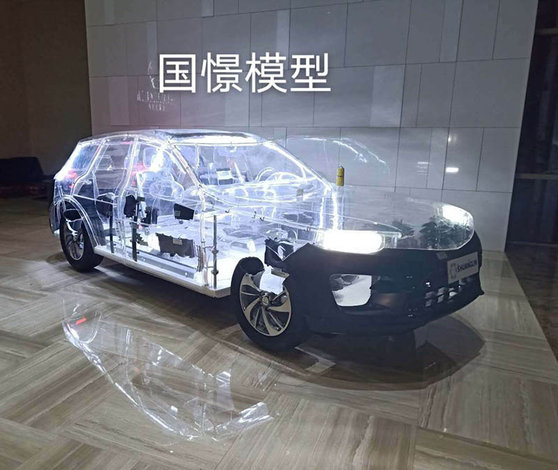 成安县透明车模型